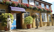 Horsley Chiropractic Clinic